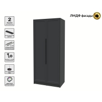 Шкаф распашной Тренд КТ-Ш2 (Антрацит ЛДСП/ Пепел ЛМДФ) Ш918 В2128 Г547